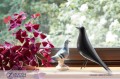 Miniatura: Eames House Birds Vitra 01